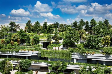 Vegetation forms an integral part of Kampung Admiralty’s envelope, mitigating the urban heat island effect and softening the building’s profile.