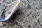 Earth Honed terrazzo