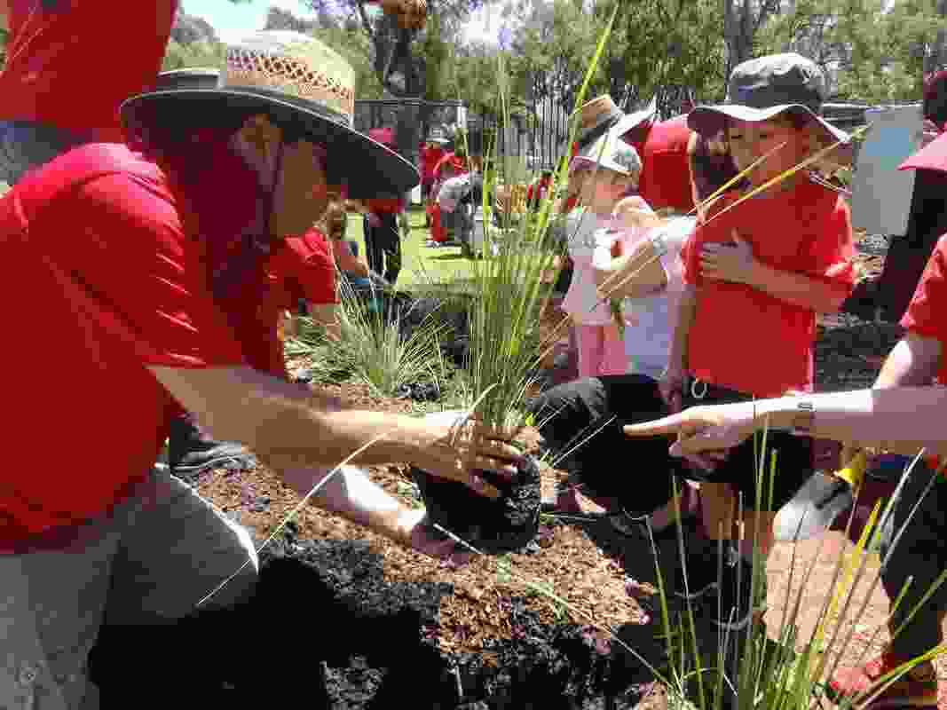West Balcatta Primary School Nature Spaces Initiative by Walter Van Der Loo won an Award of Excellence in the Community Contribution category.