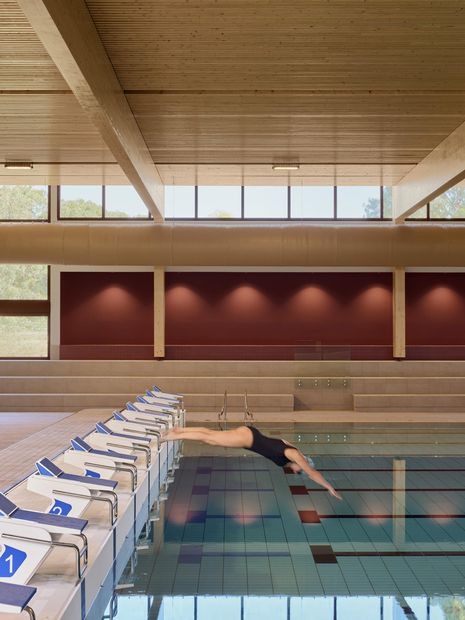 A mass timber structure introduces warmth and tactility to the interiors.
