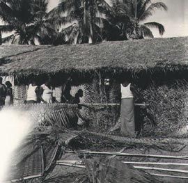 Bamboo and woven coconut-leaf house, Mer, Torres Strait, 1958. Photograph Jeremy Beckett.