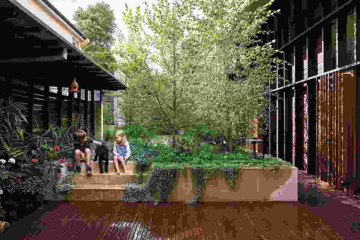 Y3 Garden (Qld) by Dan Young Landscape Architect.