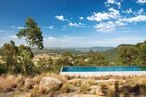Forest Edge Garden