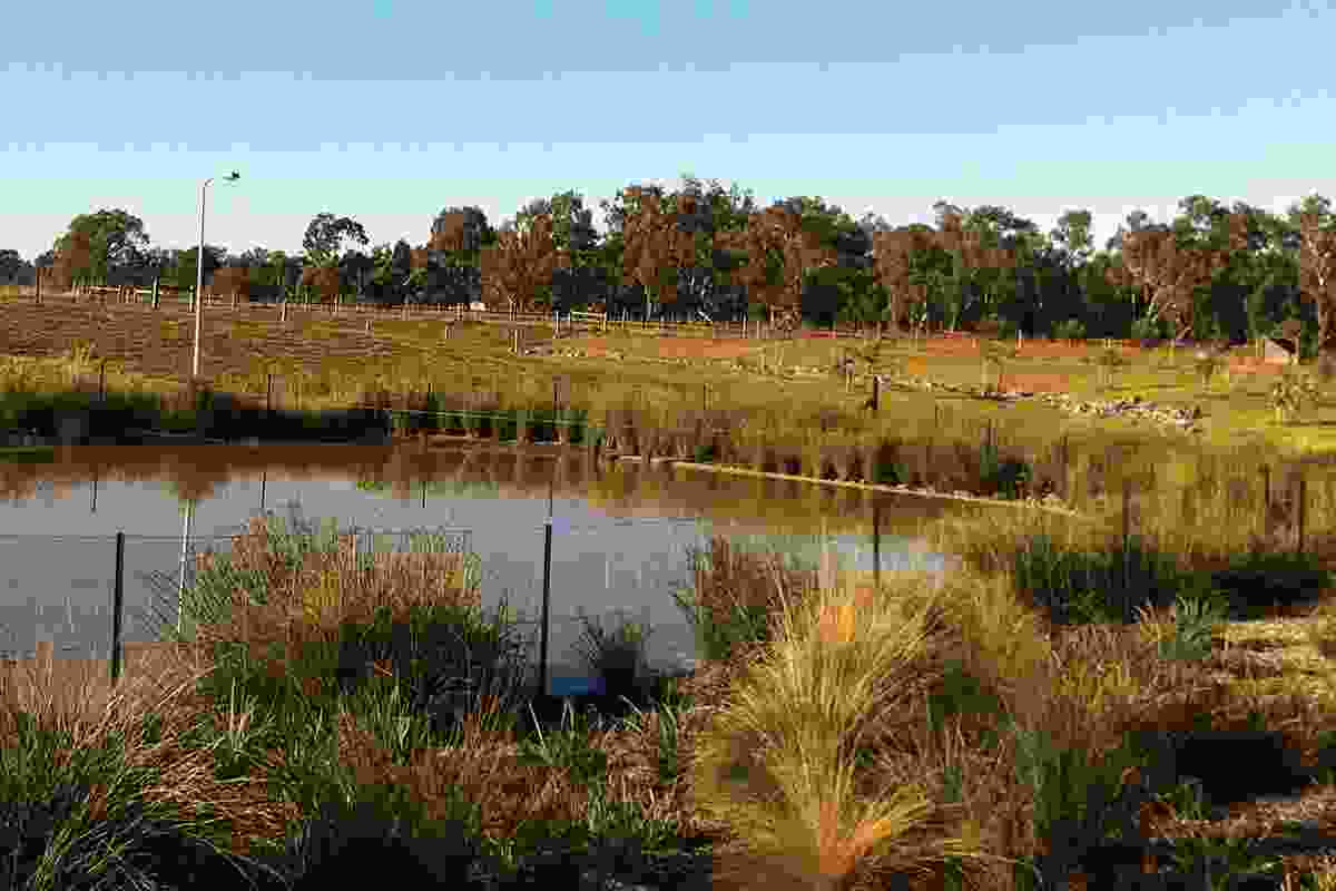 River Rise Wetland in Shepparton – designed in collaboration with Chris Smith and Associates.