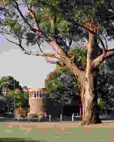 Conspicuous from a considerable distance, the wedge-shaped site in Melbourne’s Fitzroy North protrudes like a headland into the green expanse of parkland beyond.