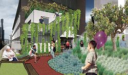 Bent Architecture’s Head for the Hill project for 131 Queen Street, the winning entry in the Growing Up Green Roof competition.