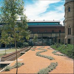 The new wetland garden in the museum’s forecourt. Image: Grant Hancock