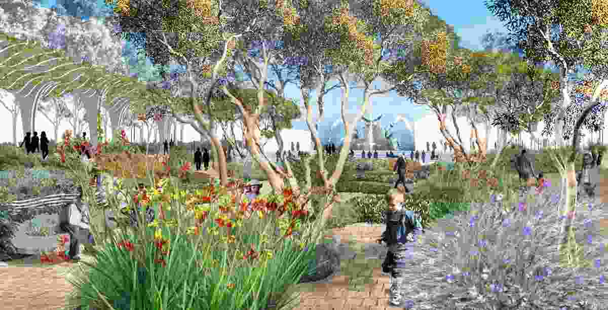 Design Development Images. The Garden houses a large scale stormwater bio-retention system, a Productive Garden, the Mullabakka Kaurna Cultural Centre, and is a haven of native plants located in the centre of the city.