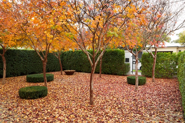 North Adelaide Villa Garden by Taylor Cullity Lethlean.