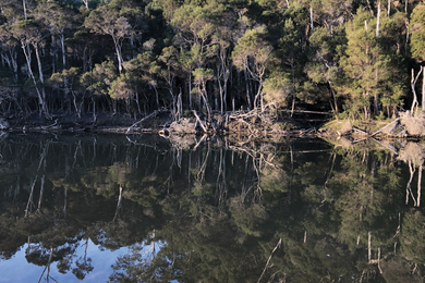 The Lake Tyers (Bung Yarnda) Camping and Access Strategy (LTCAS) was undertaken as a joint management project between Parks Victoria and Gunaikurnai Land and Waters Aboriginal Corporation and encourages understanding of culture and Country in the design of a natural landscape.