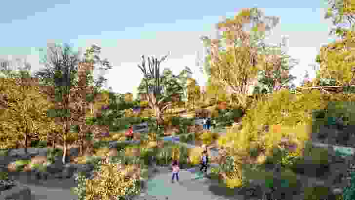 Projects such as Lizard Log by McGregor Coxall in the Western Sydney Parklands demonstrate a new vigour in planting design, reinventing the modernist bushland language of Sydney’s iconic landscape works of the 1970s.