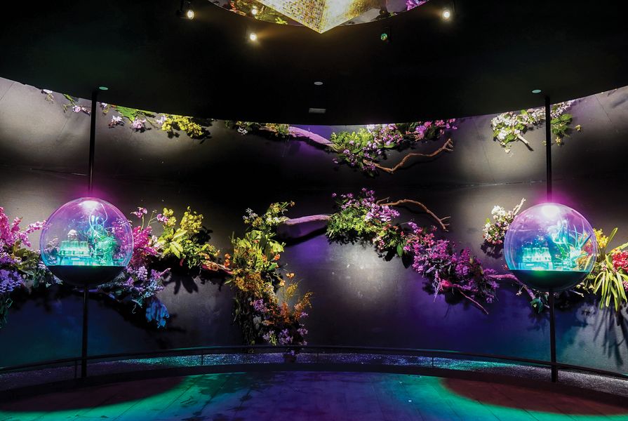 The Orchid Room from the Singapore Pavilion features four terrariums filled with native orchid species and a backdrop of ornamental orchids.
