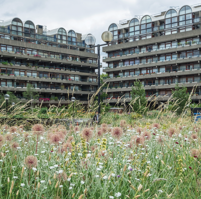 A kaleidoscopic display of plantings at the Barbican creates texture and invites closer observation by residents and visitors alike.