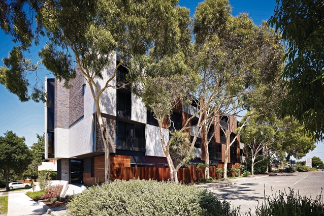 John Street, Box Hill – Hayball.