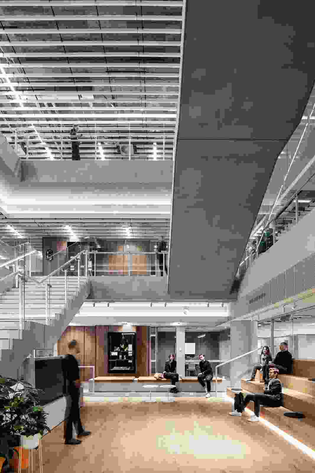 Feit Mus FEIT at Melbourne Connect by Hassell | ArchitectureAu